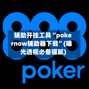 辅助开挂工具“pokernow辅助器下载	”(曝光透视必备猫腻)-第2张图片