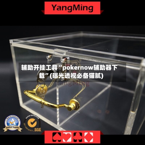 辅助开挂工具“pokernow辅助器下载”(曝光透视必备猫腻)-第1张图片