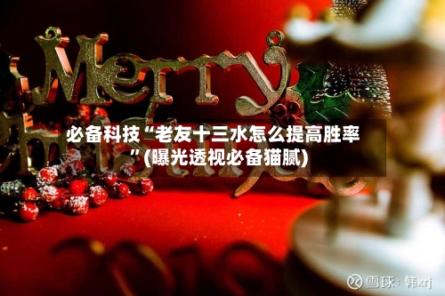 必备科技“老友十三水怎么提高胜率”(曝光透视必备猫腻)-第3张图片