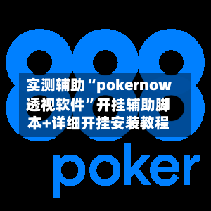 实测辅助“pokernow透视软件”开挂辅助脚本+详细开挂安装教程-第1张图片