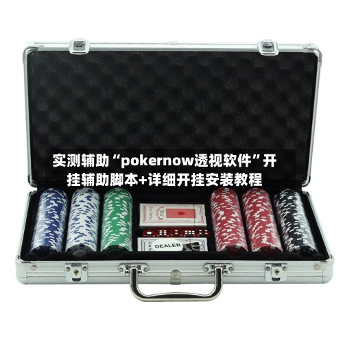 实测辅助“pokernow透视软件	”开挂辅助脚本+详细开挂安装教程-第2张图片
