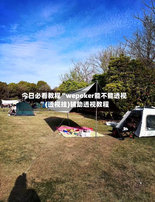 今日必看教程“wepoker能不能透视	”(透视挂)辅助透视教程-第2张图片