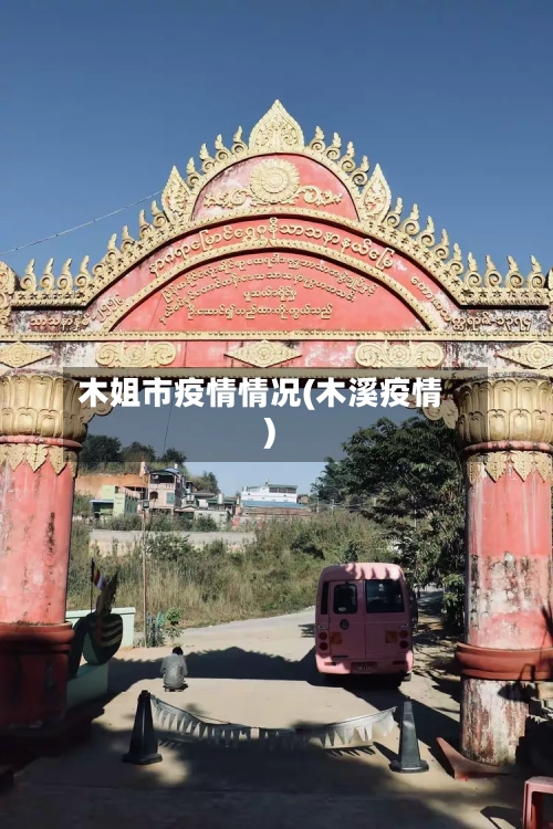 木姐市疫情情况(木溪疫情)-第1张图片