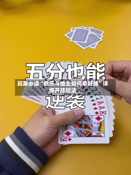 玩家必读“微乐斗地主如何拿好牌”详细开挂玩法-第1张图片