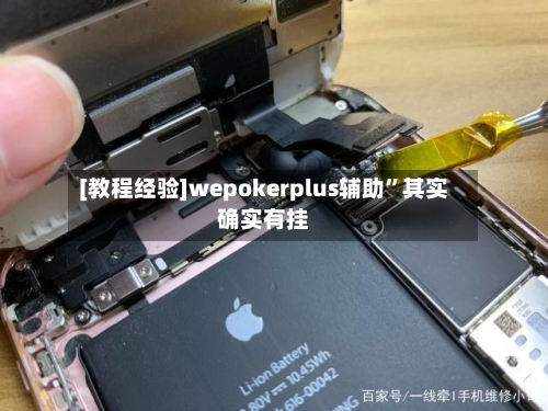 [教程经验]wepokerplus辅助	”其实确实有挂-第1张图片