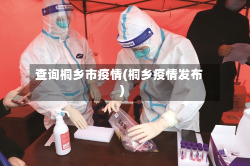 查询桐乡市疫情(桐乡疫情发布)-第2张图片