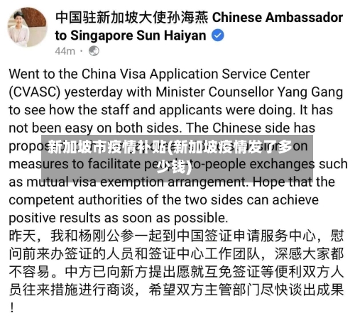 新加坡市疫情补贴(新加坡疫情发了多少钱)-第2张图片
