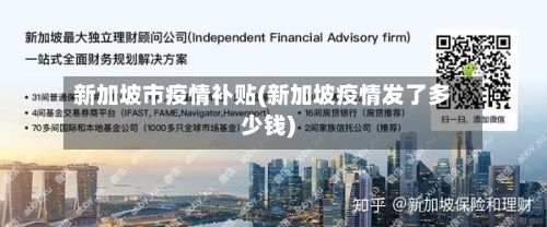 新加坡市疫情补贴(新加坡疫情发了多少钱)-第3张图片