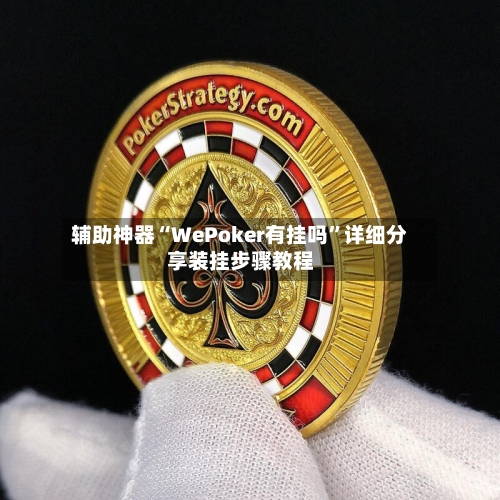 辅助神器“WePoker有挂吗”详细分享装挂步骤教程-第3张图片