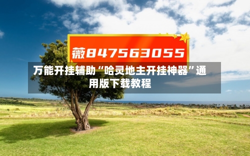 万能开挂辅助“哈灵地主开挂神器”通用版下载教程-第1张图片