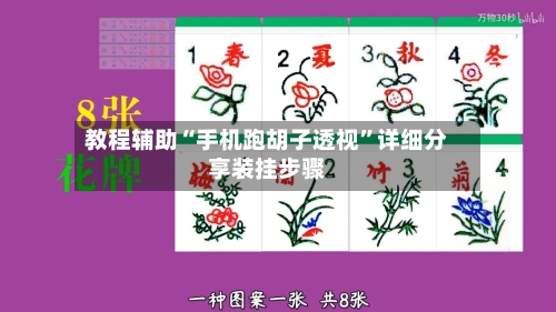 教程辅助“手机跑胡子透视”详细分享装挂步骤-第1张图片