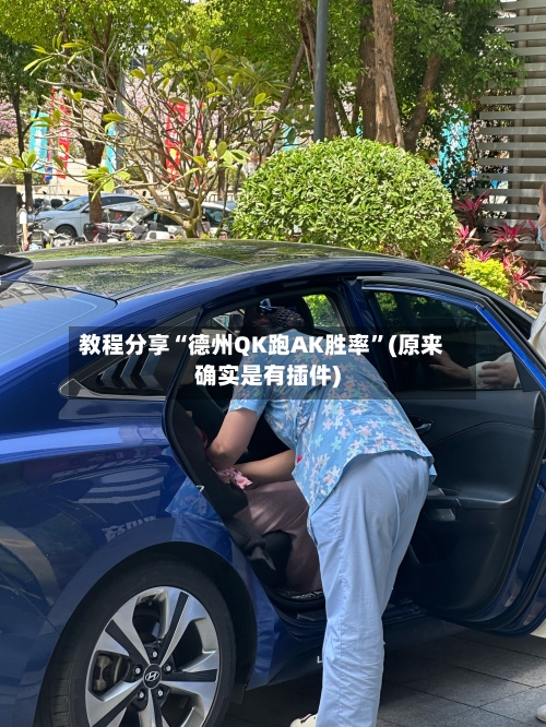 教程分享“德州QK跑AK胜率”(原来确实是有插件)-第3张图片