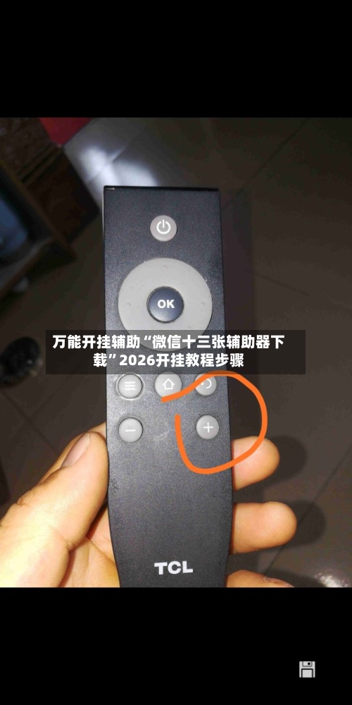 万能开挂辅助“微信十三张辅助器下载”2026开挂教程步骤-第2张图片