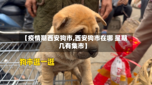 【疫情期西安狗市,西安狗市在哪 星期几有集市】-第1张图片