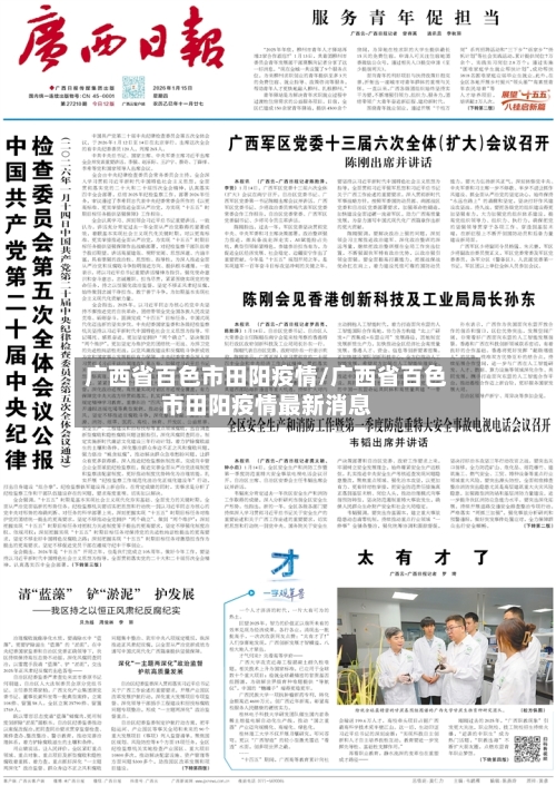 广西省百色市田阳疫情/广西省百色市田阳疫情最新消息-第3张图片