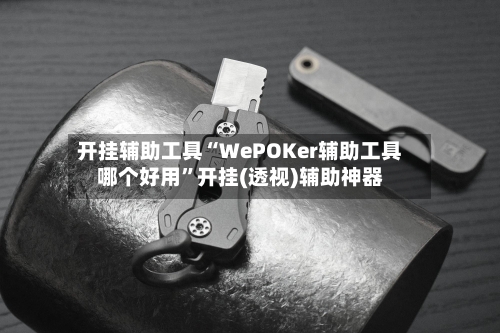 开挂辅助工具“WePOKer辅助工具哪个好用”开挂(透视)辅助神器-第1张图片