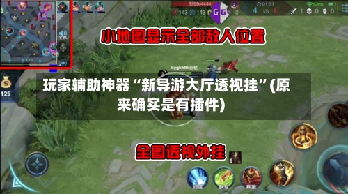 玩家辅助神器“新导游大厅透视挂”(原来确实是有插件)-第1张图片