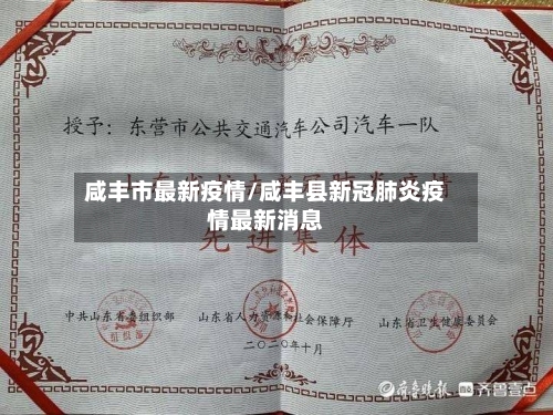 咸丰市最新疫情/咸丰县新冠肺炎疫情最新消息-第2张图片