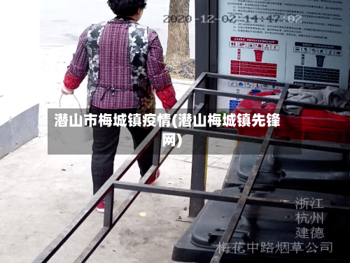 潜山市梅城镇疫情(潜山梅城镇先锋网)-第2张图片