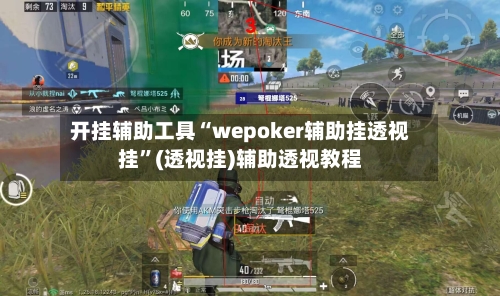 开挂辅助工具“wepoker辅助挂透视挂	”(透视挂)辅助透视教程-第1张图片
