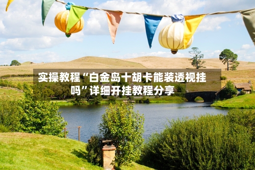 实操教程“白金岛十胡卡能装透视挂吗”详细开挂教程分享-第1张图片