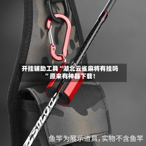 开挂辅助工具“湖北云雀麻将有挂吗”原来有神器下载！-第2张图片