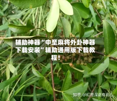 辅助神器“中至麻将外卦神器下载安装”辅助通用版下载教程！-第2张图片
