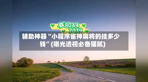 辅助神器“小程序雀神麻将的挂多少钱”(曝光透视必备猫腻)-第1张图片