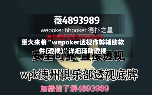 重大来袭“wepoker透视作弊辅助软件(透视)”详细辅助透视-第2张图片