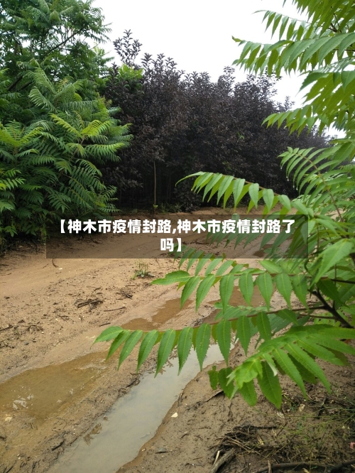 【神木市疫情封路,神木市疫情封路了吗】-第1张图片