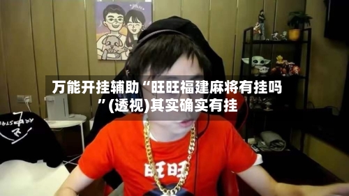 万能开挂辅助“旺旺福建麻将有挂吗”(透视)其实确实有挂-第2张图片