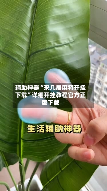 辅助神器“来几局麻将开挂下载”详细开挂教程官方正版下载-第3张图片