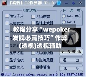 教程分享“wepoker发牌必赢技巧”作弊(透视)透视辅助-第3张图片