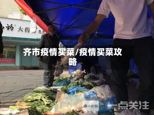 齐市疫情买菜/疫情买菜攻略-第2张图片