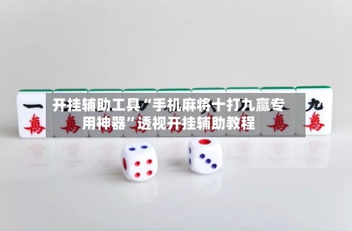 开挂辅助工具“手机麻将十打九赢专用神器”透视开挂辅助教程-第2张图片