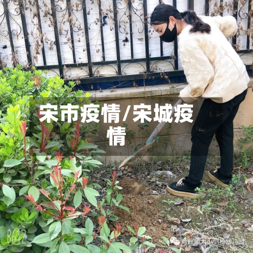 宋市疫情/宋城疫情-第3张图片