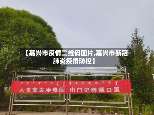 【嘉兴市疫情二维码图片,嘉兴市新冠肺炎疫情防控】-第2张图片