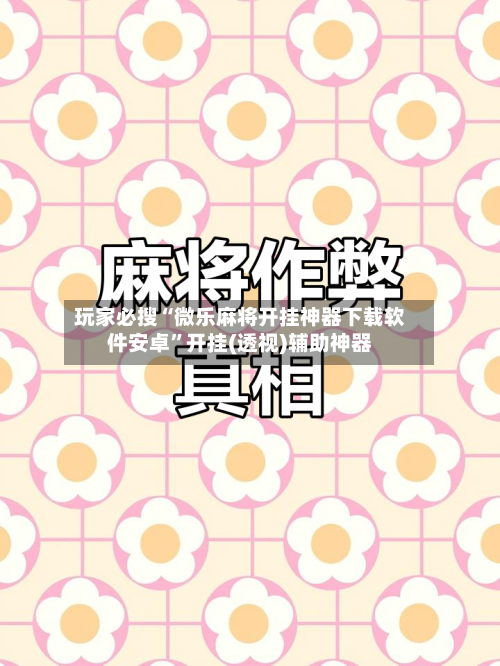 玩家必搜“微乐麻将开挂神器下载软件安卓”开挂(透视)辅助神器-第2张图片