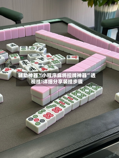 辅助神器“小程序麻将控牌神器”透视挂!详细分享装挂步骤-第1张图片