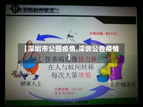 【深圳市公园疫情,深圳公告疫情】-第2张图片