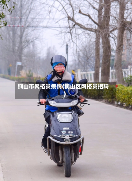 铜山市网格员疫情(铜山区网格员招聘)-第2张图片
