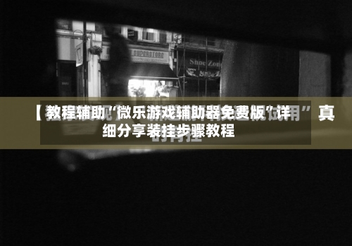 教程辅助“微乐游戏辅助器免费版	”详细分享装挂步骤教程-第1张图片