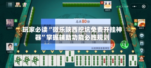 玩家必读“微乐陕西挖坑免费开挂神器	”掌握辅助功能必胜规则-第2张图片