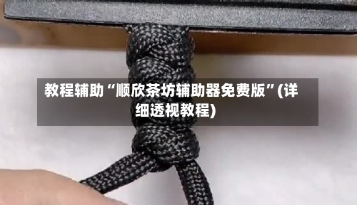 教程辅助“顺欣茶坊辅助器免费版”(详细透视教程)-第1张图片