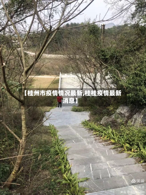 【桂州市疫情情况最新,桂桂疫情最新消息】-第1张图片