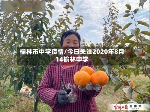 榆林市中学疫情/今日关注2020年8月14榆林中学-第3张图片