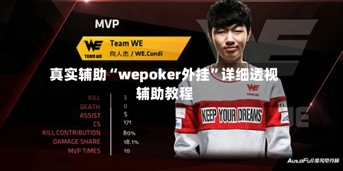 真实辅助“wepoker外挂”详细透视辅助教程-第2张图片