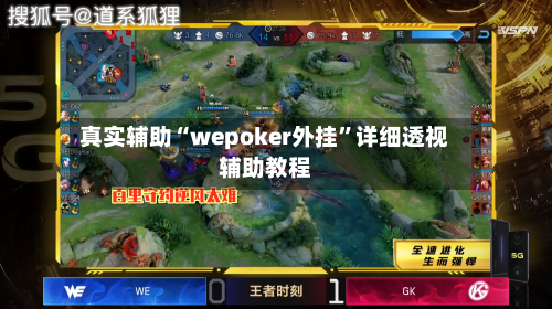真实辅助“wepoker外挂”详细透视辅助教程-第3张图片