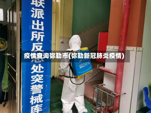 疫情查询弥勒市(弥勒新冠肺炎疫情)-第1张图片