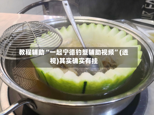 教程辅助“一起宁德钓蟹辅助视频”(透视)其实确实有挂-第1张图片